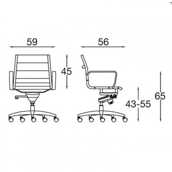 AUCLAND LOW BACK